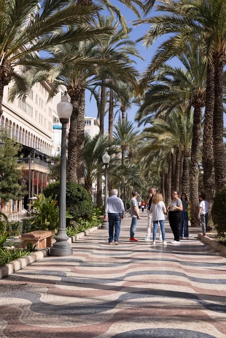 Promenade in Palm-lined Avenue