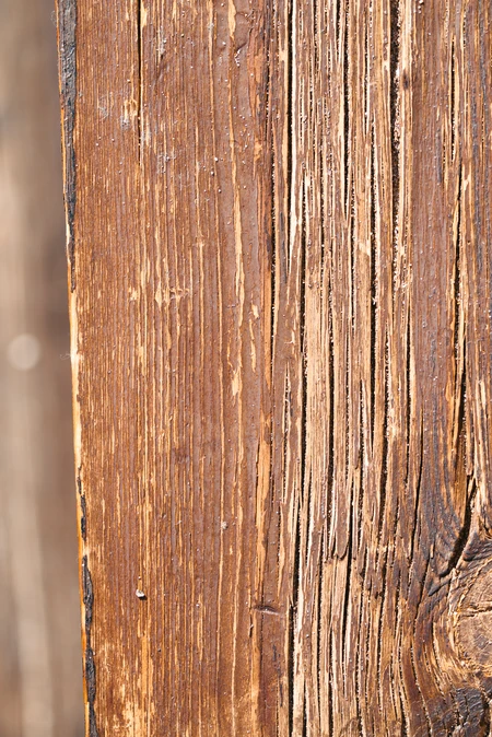 Weathered Wood Texture
