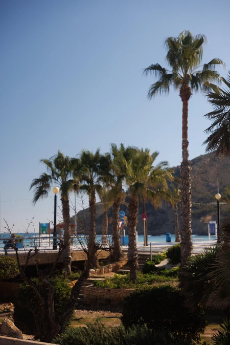 Palm Beach Promenade