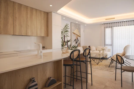 Modern Living Room and Kitchen