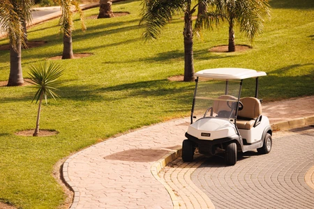 Golf Cart by the Palm Trees