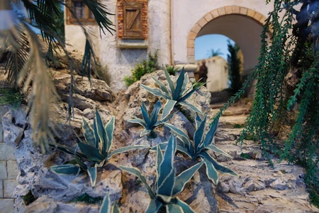 Rustic Pathway in a Mediterranean Setting