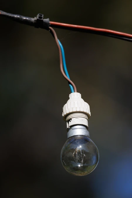 Hanging Light Bulb