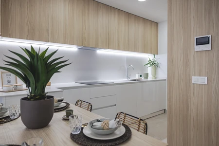 Modern Kitchen Interior