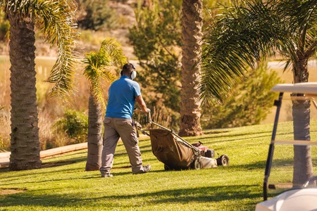 Gardening in Tropical Surroundings
