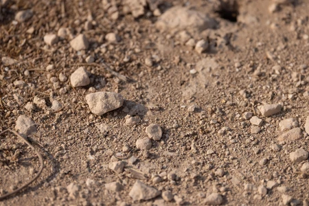 Rugged Earth Texture