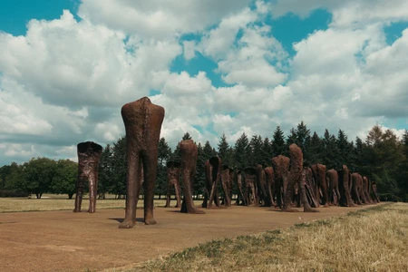 Sculpture Garden Under Blue Skies