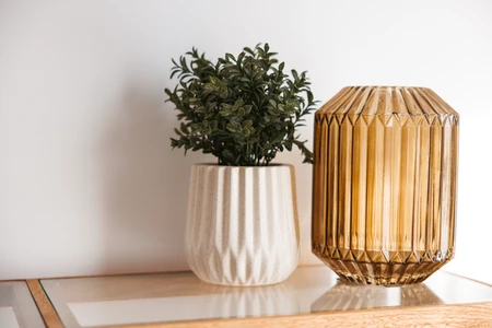 Decorative Plant and Vase