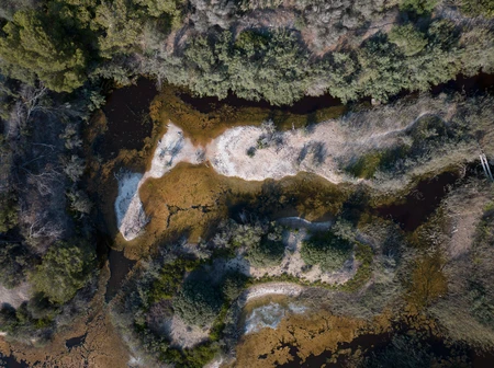 Aerial View of Serene Wetlands