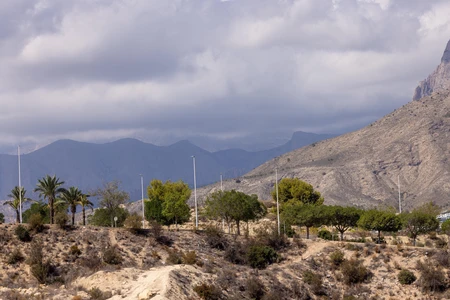 Desert Mountain Landscape