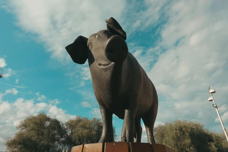 Pig Statue Under Blue Sky