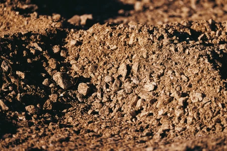 Close-up of Soil Texture