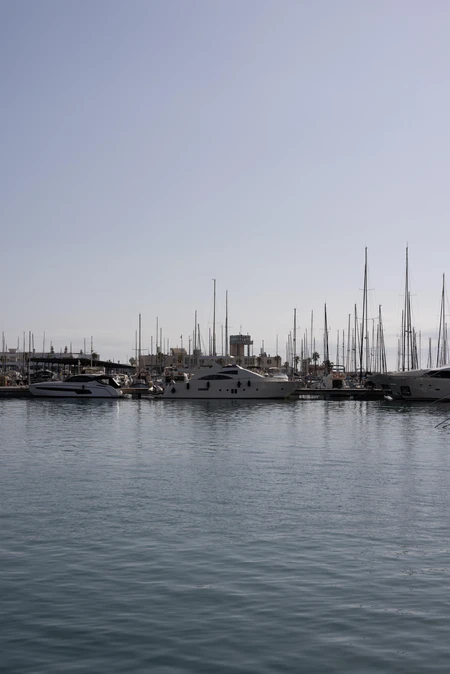 Serene Marina View