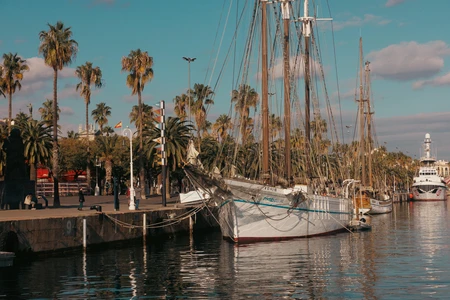 Scenic Harbor with Sailing Ships