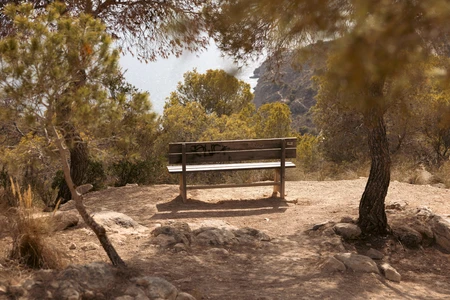 Serene Cliffside Bench