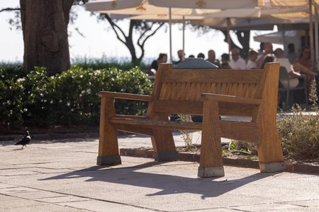 Sunny Outdoor Cafe