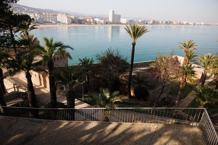 Coastal Cityscape with Palm Trees