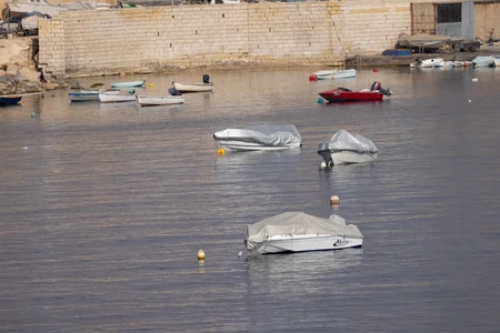 Peaceful Harbor View