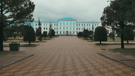 Elegant Blue Building amidst Trees