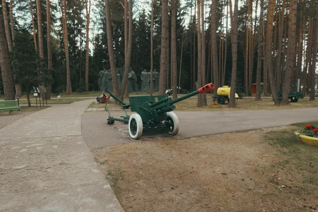 Cannon in a Forest Park