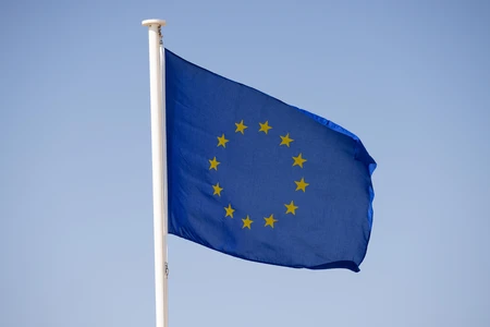 European Union Flag