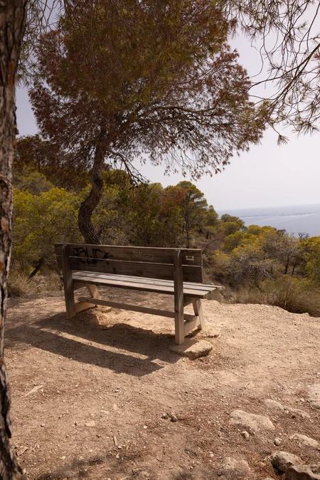 Scenic Bench Overlook