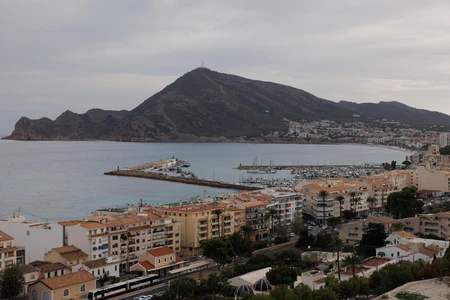Coastal Townscape with Harbor