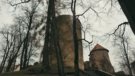 Ancient Tower and Trees