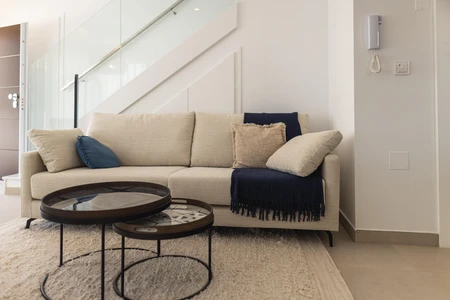 Modern Living Room