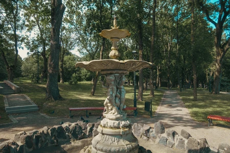 Tranquil Fountain in the Park