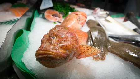 Fresh Fish Display