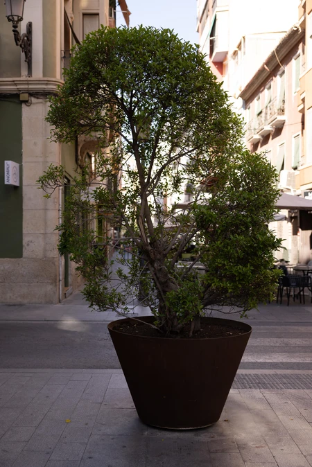 Urban Planter
