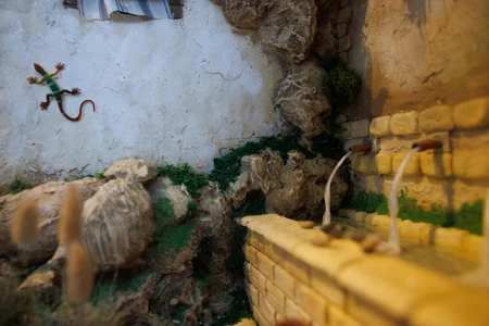 Rustic Wall and Fountain