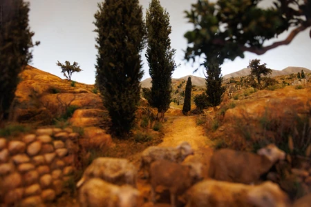 Rustic Landscape with Trees