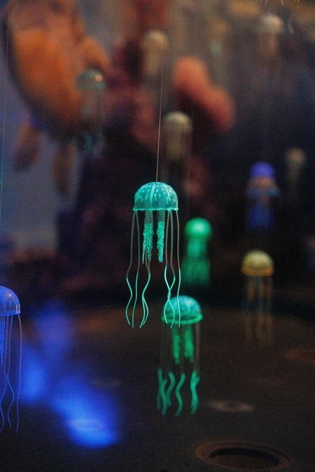 Illuminated Jellyfish