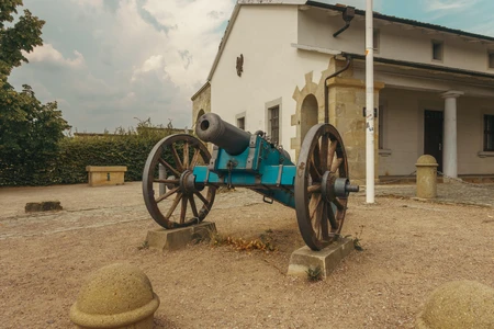 Historic Cannon Display