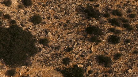 Rocky Desert Terrain