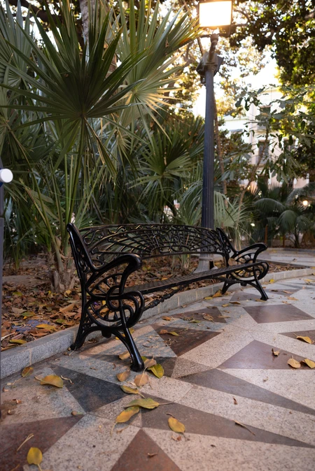 Tranquil Park Bench