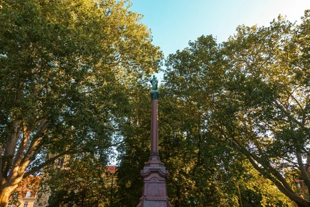 Monument Among Trees