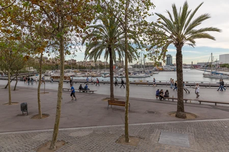 Scenic Waterfront Promenade