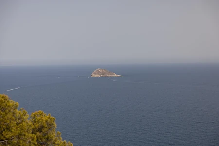 Tranquil Island View