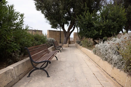 Peaceful Park Pathway