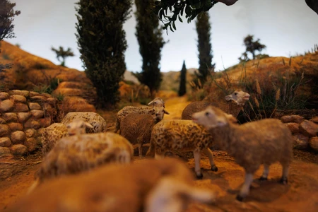 Pastoral Scene with Sheep