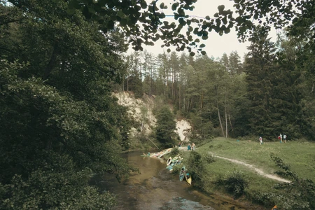 Kayaking Adventure in Forest Stream