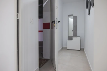 Modern Minimalist Hallway