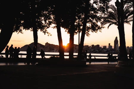 Sunset Silhouettes by the Bay