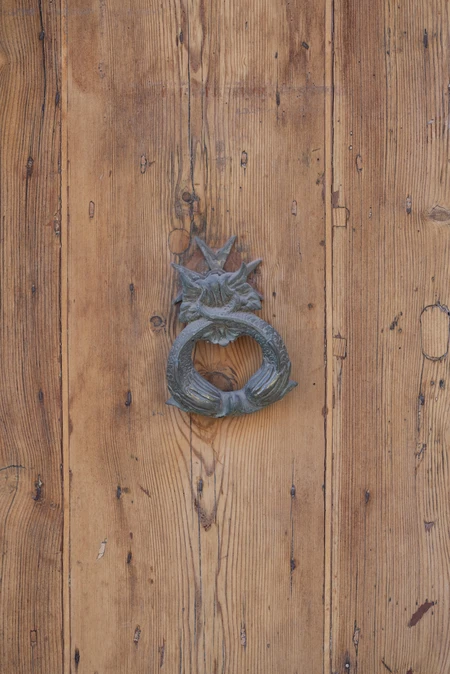 Ornate Door Knocker