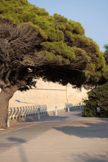 Serene Coastal Walkway