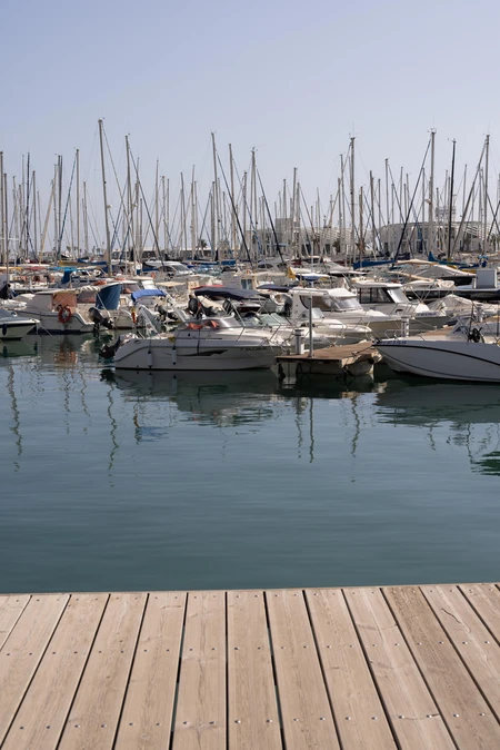 Serene Marina with Boats