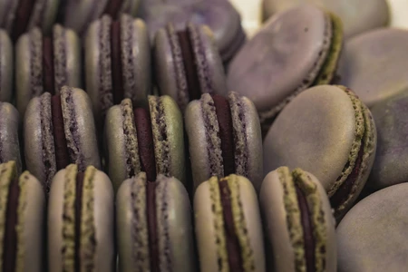 Purple Macarons Collection